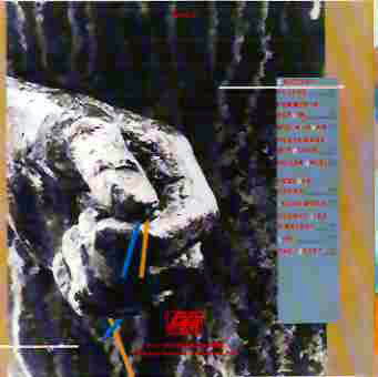 Forever Young Back Cover